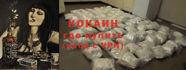гашик Вяземский