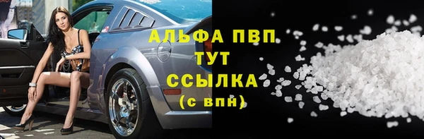 гашик Вяземский