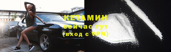 гашик Вяземский