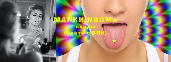 гашик Вяземский