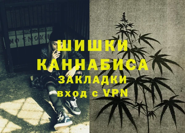 гашик Вяземский