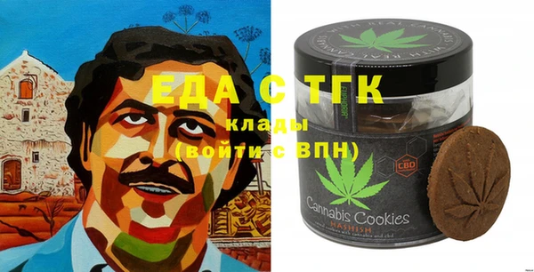 гашик Вяземский