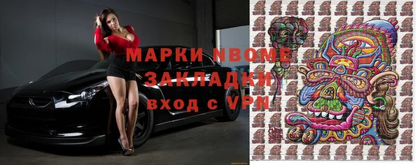 гашик Вяземский