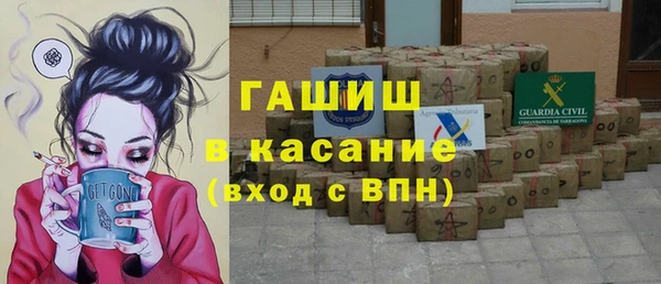 гашик Вяземский