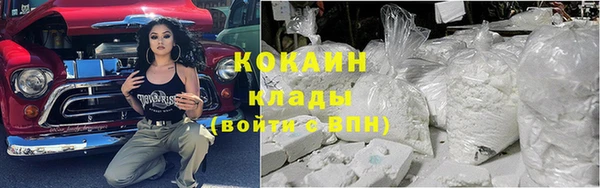 гашик Вяземский
