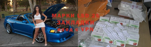 гашик Вяземский